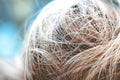 Scalp Revival: Boost Your Salon’s Expertise in Hair Health