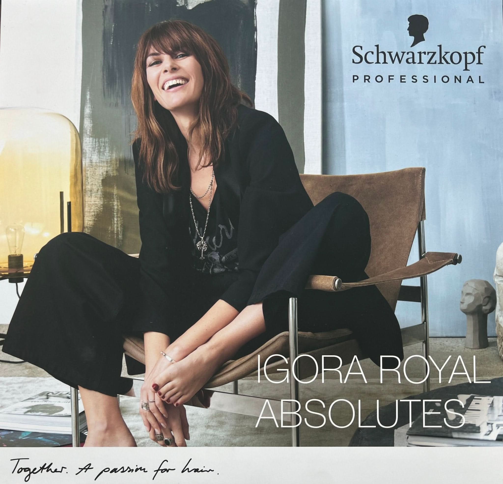 Schwarzkopf Hair Color Chart Igora