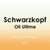Schwarzkopf Oil Ultime Marula Finishing Oil 100ml - Hairdressing Supplies